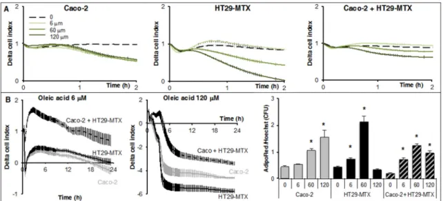 Figure 5. Real-time monitoring of lipid uptake by Caco-2, HT29-MTX cells, and in co-cultures (9/1)