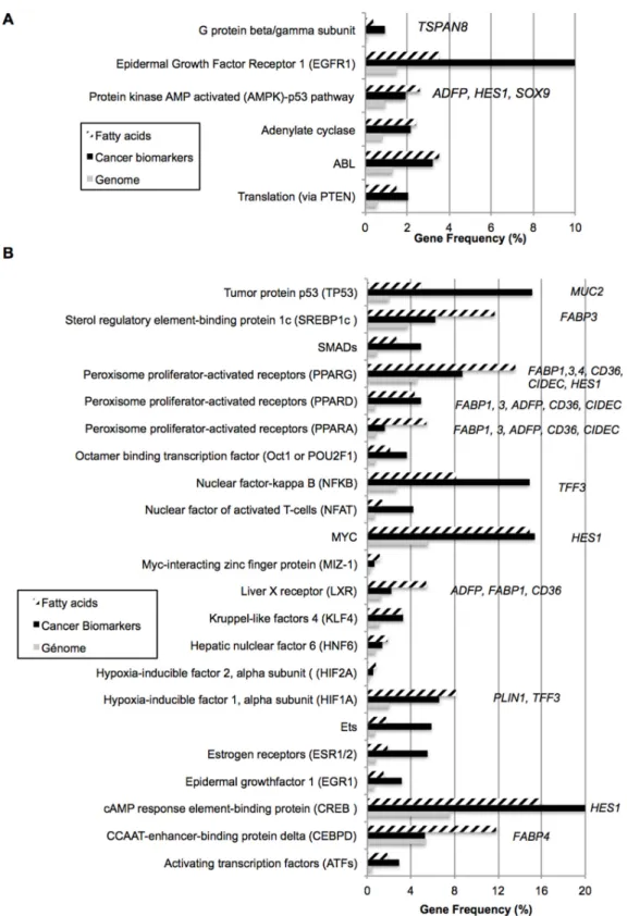 Figure 2. Fatty acids-linked signaling pathways related to cancer. Fatty acids gene datasets were  compared to 48 gene datasets related to intracellular pathways (A) and 52 gene datasets related to  transcription factors (B)