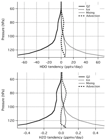 Figure 5.  Budget for HDO (top) and H 2 O (bottom) in the TTL for dD ice  from the –565‰ run, averaged over the model’s two regions