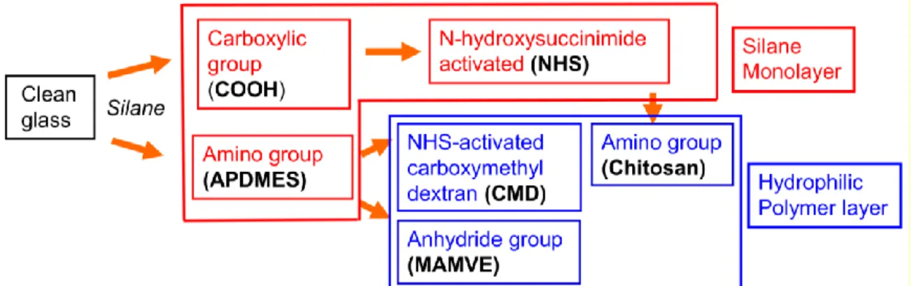 Fig. 3 Scheme of the 6 surface chemistries evaluated for antigen microarrays elaboration