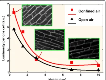 Figure 2 Relationship between the integrated luminosity per one cell and vertical distance from the NP source