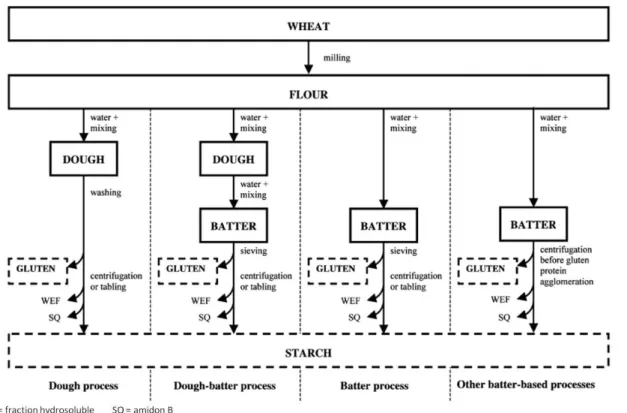 Figure I.3 : Schéma de principe des différentes méthodes de séparation de l'amidon et du gluten à partir de farine  (d’après Van Der Borght et al