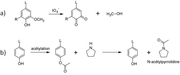 Figure I.23 : Schéma des réactions d'oxydation au périodate (a) et d'aminolyse (b) utilisée pour quantifier les  groupements hydroxyles phénoliques de la lignine 