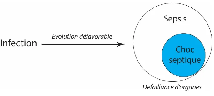 Figure 2: nouvelle définition du sepsis (d'après Singer) 