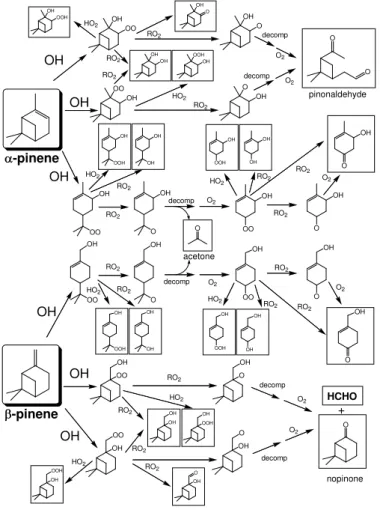 Fig. 2. Schematic representation of the major features of the OH-initiated degradation of α- α-and β-pinene in the absence of NO x , as applied in the present work