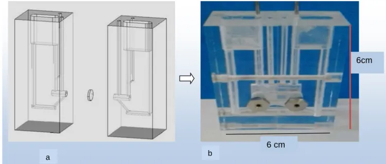 Figure  2:  Exemple de  chambre d’Ussing  verticale.  a :  Schéma  montrant  l'organisation  des  deux demi chambres et b : Photo de la chambre d’Ussing assemblée et réalisée en plexiglas  (Document Biomécatronics)