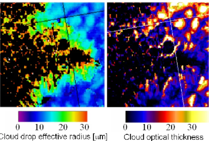 Fig. 5. The cloud drop effective radius and cloud optical thickness from the center of the scene shown in Figs