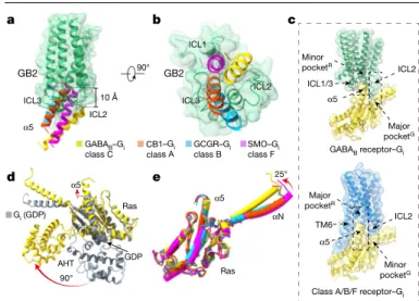 Fig. 4 | Distinct G i  binding model of GABA B . a, b, Orientations of the α5 helix in  G i  protein when coupling to GABA B , cannabinoid receptor 1 (CB1) (class A),  glucagon receptor (GCGR) (class B) and  smoothened (SMO) (class F)