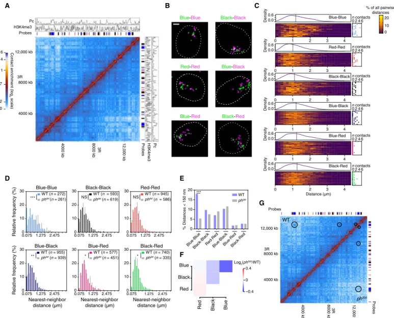Fig. 5. Large-scale chromatin folding reflects heterogeneous, discrete, and specific interdomain contacts