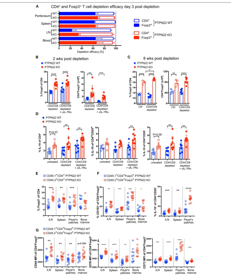 FIGURE 3 | Foxp3 + Tregs and IL-10 production are cell-intrinsically controlled by PTPN22 in steady state and LIP