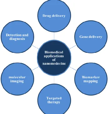 Figure 5 : Liste non-exhaustive d’applications médicales des nanomédecines (adaptée de [100] 