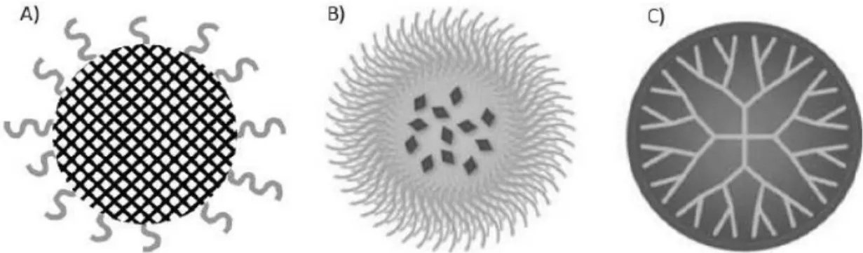 Figure 8 : Représentation de nanosystèmes à base de polymères, (A) nanosphères, (B) micelles  polymériques et (C) dendrimères