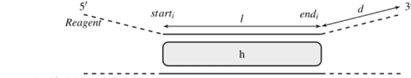 Fig. 2   Notations used to define targeting vs non-targeting reagents. Variable d is the distance from the end  of the BLASTN-predicted hit to the most 3’ nucleotide of the query sequence