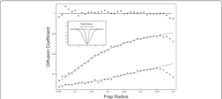 Figure 3 FRAP experiment. Results for FRAP experiments compared to theoretical prediction