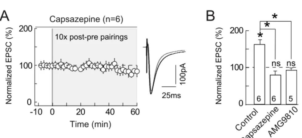 Figure 5 A Co ntrol Capsazepine AMG9810*ns**ns100pA25ms2001000B Capsazepine (n=6)2001000Time (min)6040200-10Normalized EPSC (%)Normalized EPSC (%)10x post-pre pairings656
