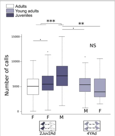 FIGURE 3 | Number of vocalizations per individual. Boxplot of individual vocalization rates in the different group types