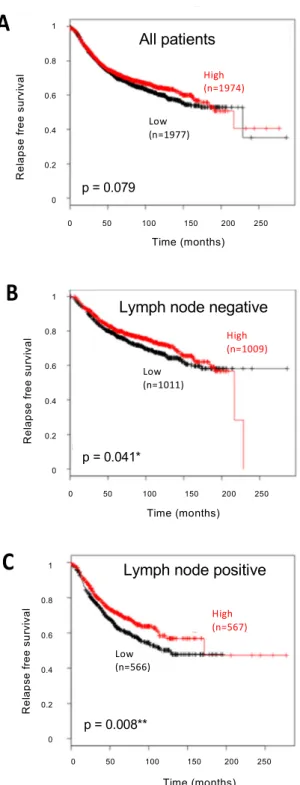 Figure 1. Survival of patients with breast cancer (BC) according to aryl hydrocarbon receptor (AhR)  mRNA expression and lymph node status
