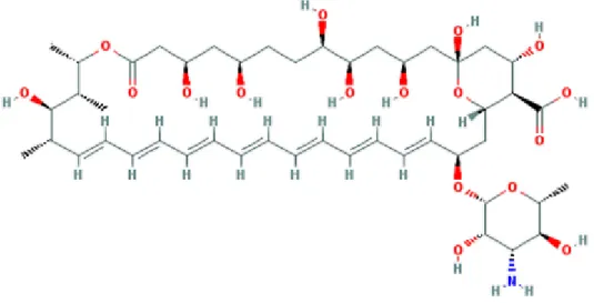 Figure 1: Chemical structure of amphotericin B (10) 