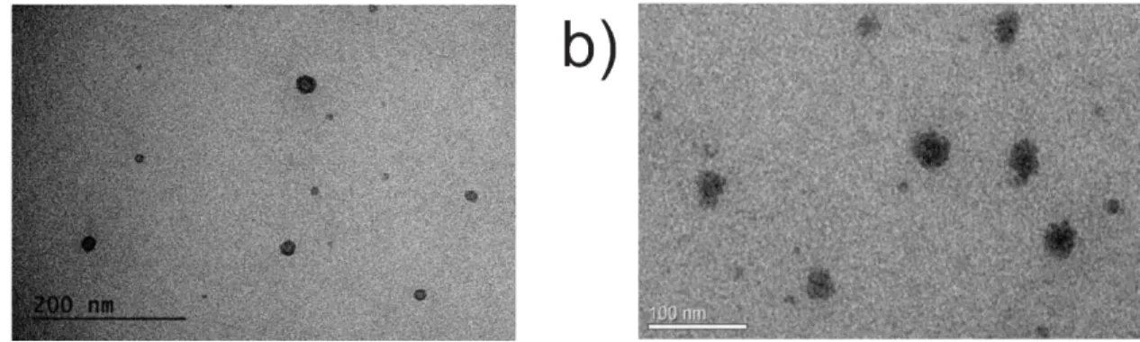 Figure 2: Transmission electronic microscopy of ME (a) and ME containing AmB (b). 