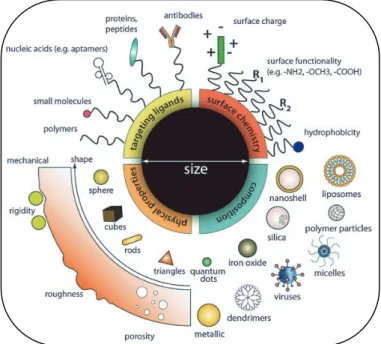 Figure 1 : Illustration de la diversité des nanosystèmes actuels, de par leur nature chimique,  forme,  propriétés  physico-chimiques  et  fonctionnalisation  (reproduit  depuis  [10]  avec 
