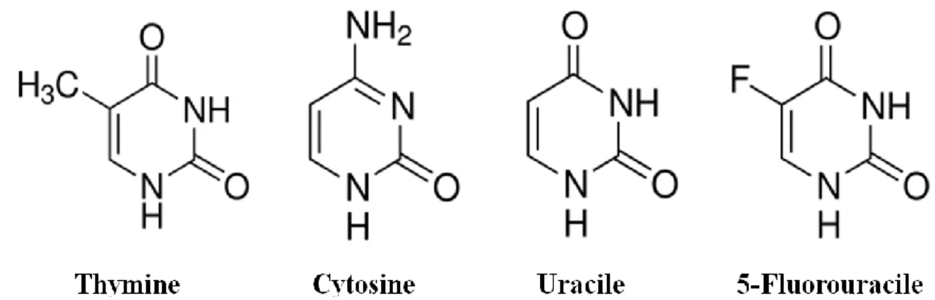 Figure 12. Structures chimiques des pyrimidines. 