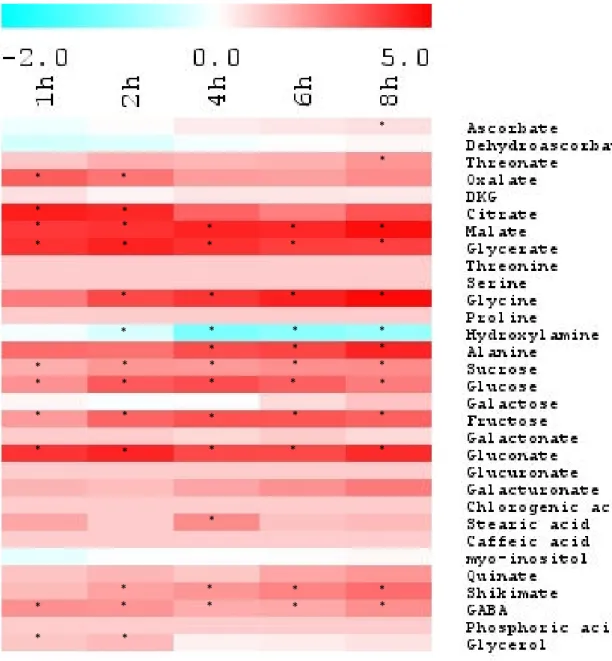 Figure 1: Early changes in metabolic profile of wild type tomato leaves shifted to high light intensity