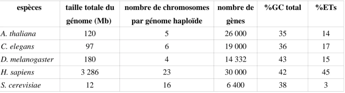 Tableau 1 : récapitulatif des données génomiques pour les 5 espèces.