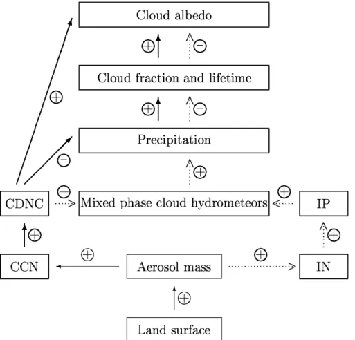 Fig. 4. Schematic diagram of the warm indirect aerosol e ff ect (solid arrows) and glaciation indirect aerosol effect (dotted arrows) (adapted from Lohmann, 2002a)