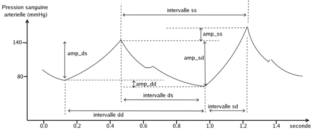 Fig. 1.10 – Deux cycles repr´esentant l’´evolution de la pression art´erielle