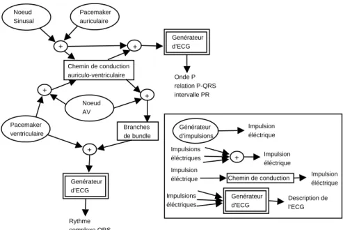 Fig. 2.4 – Mod`ele qualitatif du cœur de Kardio (mod`ele profond)