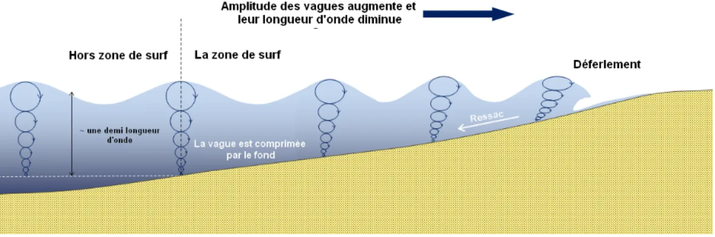 Figure 1.11 – Mouvement des éléments entraînés par les vagues dans la zone de surf (Source : Modifié à partir de Physical Geology [Ear18])