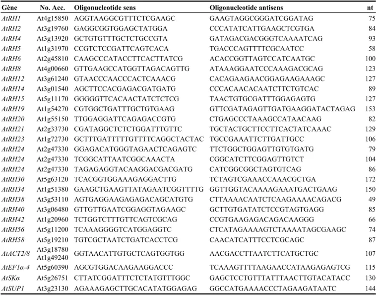 Tableau 5 Amorces utilisées pour la quantification de 24 transcrits par PCR quantitative en temps réel