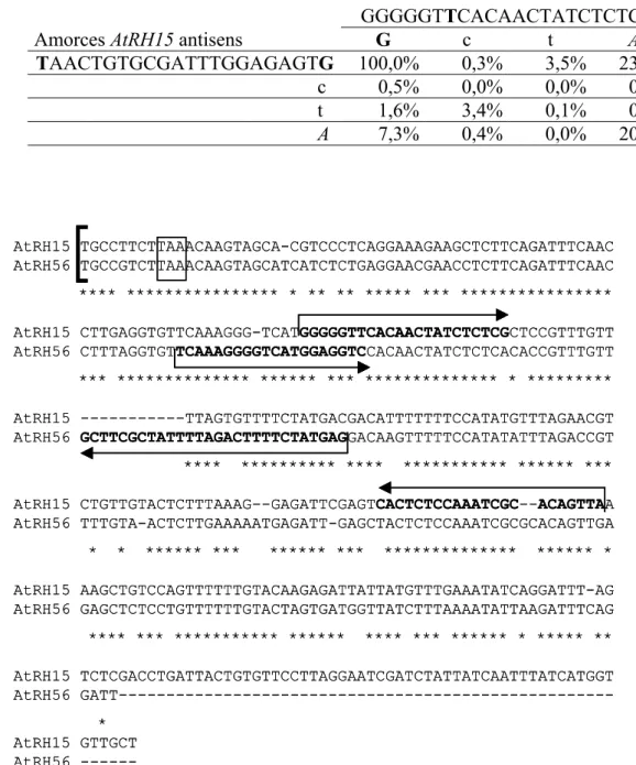 Tableau 7  Efficacité de la PCR des couples d’amorces dérivant du couple spécifique d’AtRH15  par le  dernier nucléotide