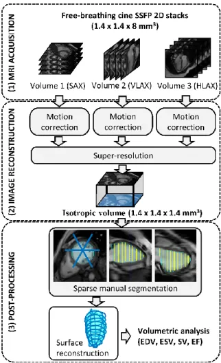 Figure 1 Acquisition, reconstruction and post-processing workflow  for isotropic 3D cine imaging and volumetric analysis