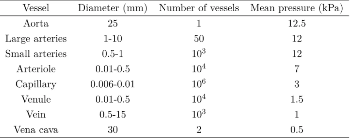 Table 1.1 – Characteristic values of diameter, occurence, and mean pressure of the human systemic vessels adapted from [9].