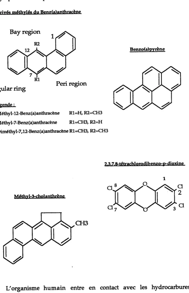 Figure  no 1:  Structure  chimique  des  principaux  hydrocarbures polycyliques  aromatiques  et de la dioxine.