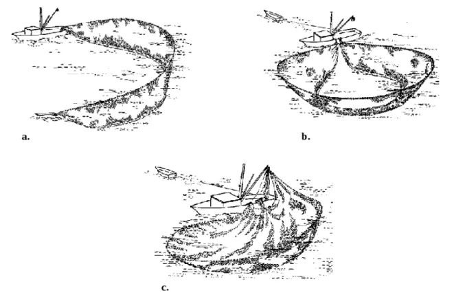 Figure 3.5: Tree main stages of purse seining operations, a. Setting the seine, b. Pursing the seine, c