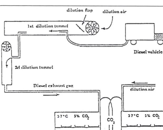 Figure 9. Schéma experimental  de I'exposition des cellules aux gaz d'échappements  de véhicule diesel ; (Kouzan et coll., 19t39).