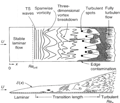 Figure 1.5: Top view and side view of the T-S wave transition on the flat plate. From [16]