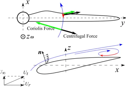 Figure 1.16: Inside the separation bubble, streamwise velocity changes its direction (red arrow), which causes the Coriolis force (green arrow) acts in the same direction as the centrifugal force (black arrow).