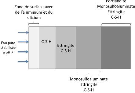 Figure 16. Représentation schématique de la dégradation d’une pâte de ciment soumise à la  lixiviation par une eau pure stabilisée à pH 7 (Peycelon et al., 2001)