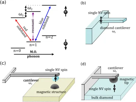 Figure 1.4: a) Spin states dressed by the mechanical oscillator (MO). A microwave magnetic field can be used to either solely change the spin or both the spin and the phonon number with an additive Spin-Mechanical coupling (diagonal arrows)