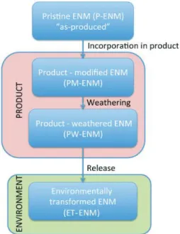 Figure 5: Transformations des nanomatériaux manufacturés au cours de leur utilisation et leur rejet dans  l’environnement, ENM : Engineered Nanomaterial (Nowack et al., 2012)