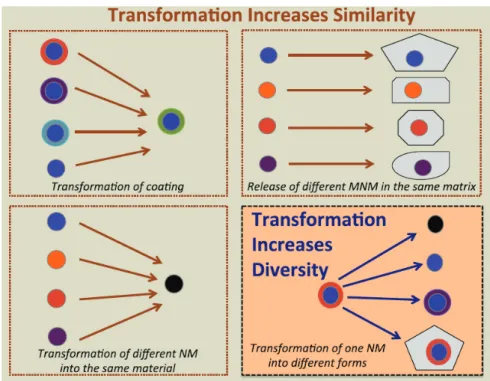 Figure 8: Schéma conceptuel représentant les transformations pouvant augmenter la similarité entre nanomatériaux ou  leur diversité de forme, MNM : Manufactured Nanomaterial  (Mitrano et al., 2015)
