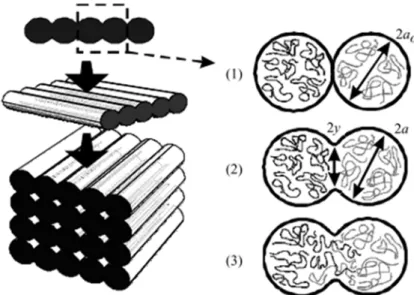 Figure 4 : Schematic illustration of bond formation between adjacent beads. When beads  are in contact (1), a neck between these beads is created (2)