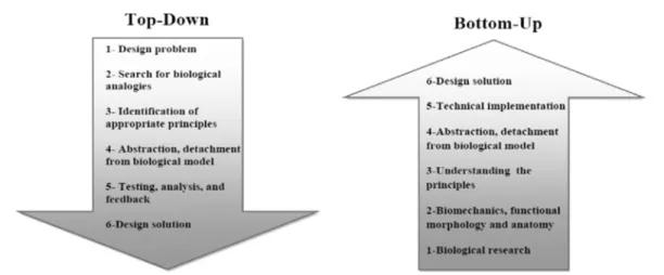 Figure 33 : Schematic representation of top-down (answer to a technical issue with a  solution found in biological system) and bottom-up approaches (biological properties 