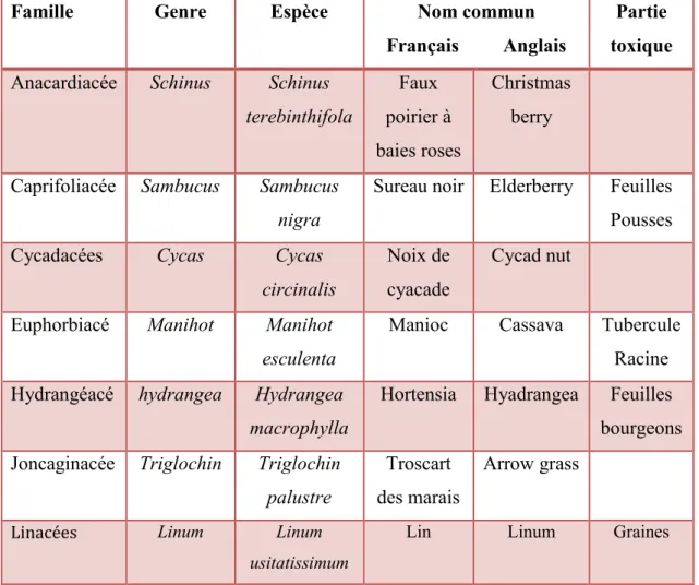 Tableau I: Liste indicative des principales plantes renfermant des glycosides cyanogénétiques