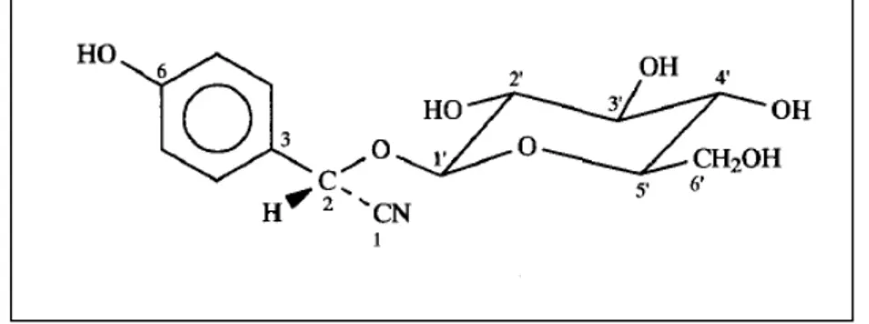 Figure 3 : Structure chimique de la dhurrine. [26]
