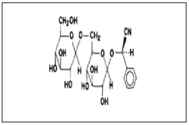 Figure 5 : Structure chimique de l’amygdaline. [5]