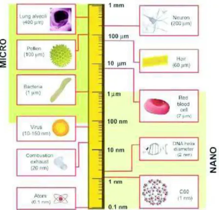 Figure 1: Length scale showing the sizes of nanomaterials in comparison to various  biological components (from Buzea et al., 2007)  15 